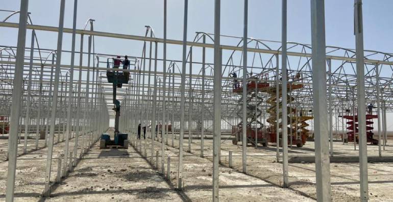Green House flowering 20000m2 Area
